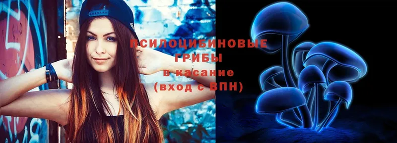 Галлюциногенные грибы Magic Shrooms  блэк спрут вход  сайты даркнета телеграм  сколько стоит  Благодарный 